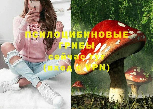 MESCALINE Переславль-Залесский