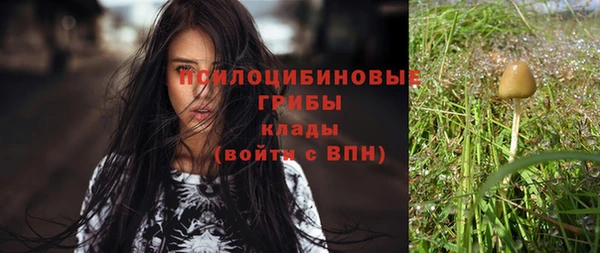 экстази Осинники