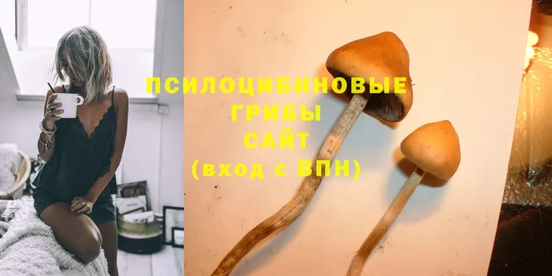 Псилоцибиновые грибы MAGIC MUSHROOMS  Коряжма 