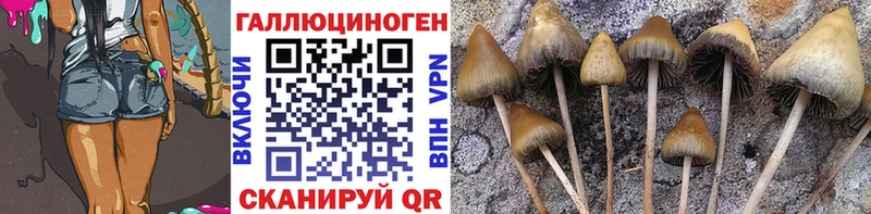 Псилоцибиновые грибы MAGIC MUSHROOMS Коряжма