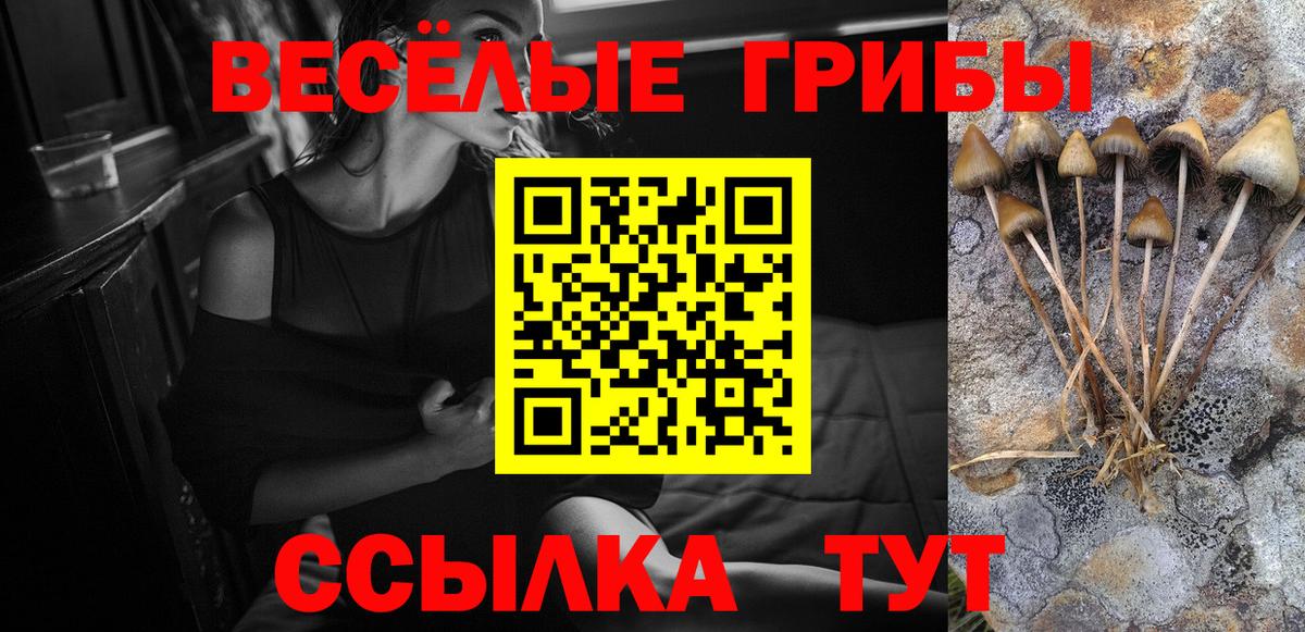 Галлюциногенные грибы MAGIC MUSHROOMS  Вход с VPN  Коряжма 