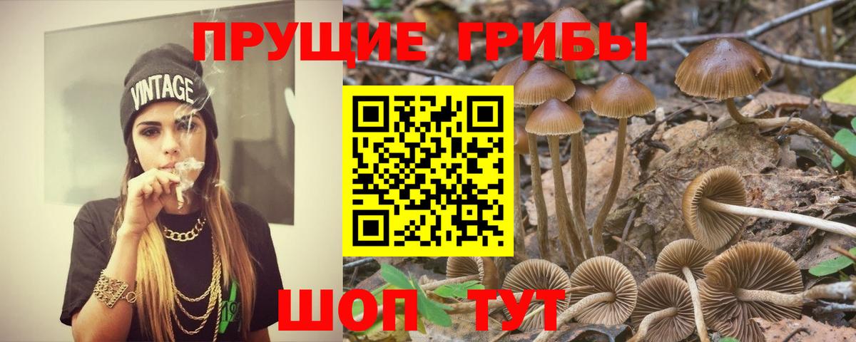 Галлюциногенные грибы прущие грибы Коряжма